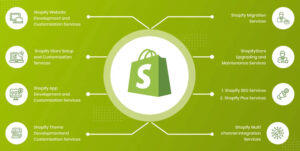 affordable custom Shopify store